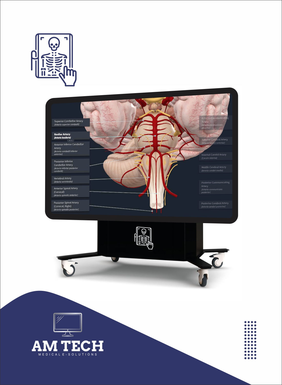 Touchscreen table setup for anatomy education