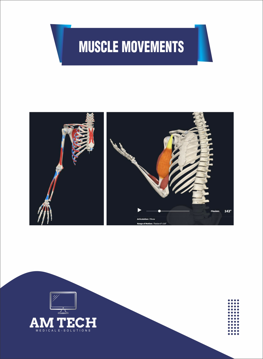 Anatomy exploration screen
