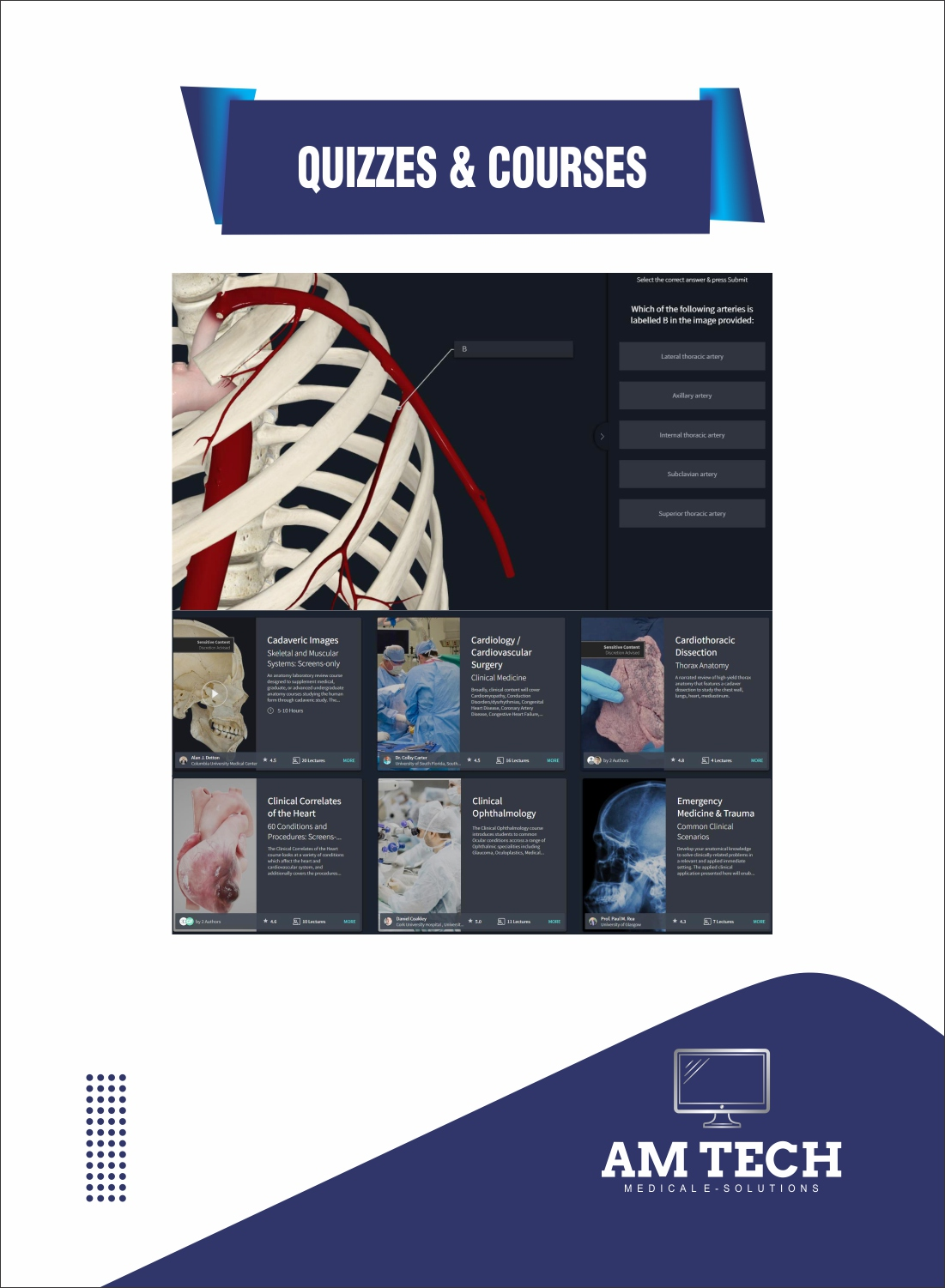 Quizzes and expert courses
