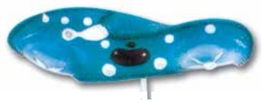 MODEL OF PARAMECIUM