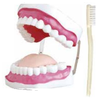 TOOTH HYGIENE SET WITH TOOTH BRUSH