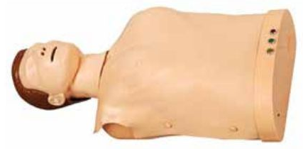 HALF BODY ELECTRONIC CPR TRAINING MANIKIN WITH INDICATOR