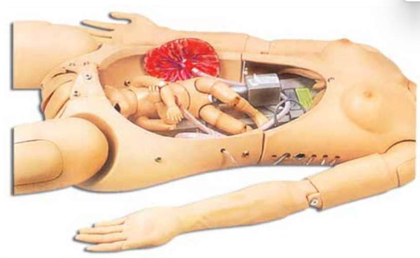 ADVANCED DELIVERY, MATERNAL AND NEONATAL EMERGENCY SIMULATOR (SOFT) image 2