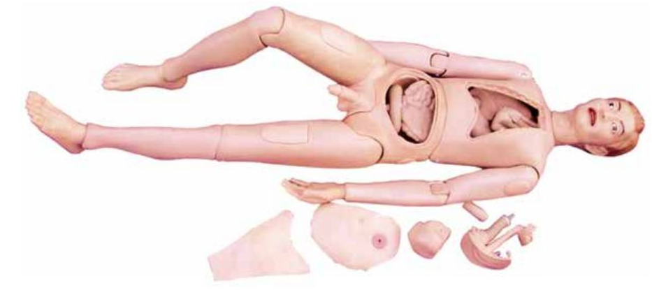 ADVANCE LIFE-SIZE MULTIFUNCTION PATIENT CARE MALE NURSING MANIKIN (SOFT)