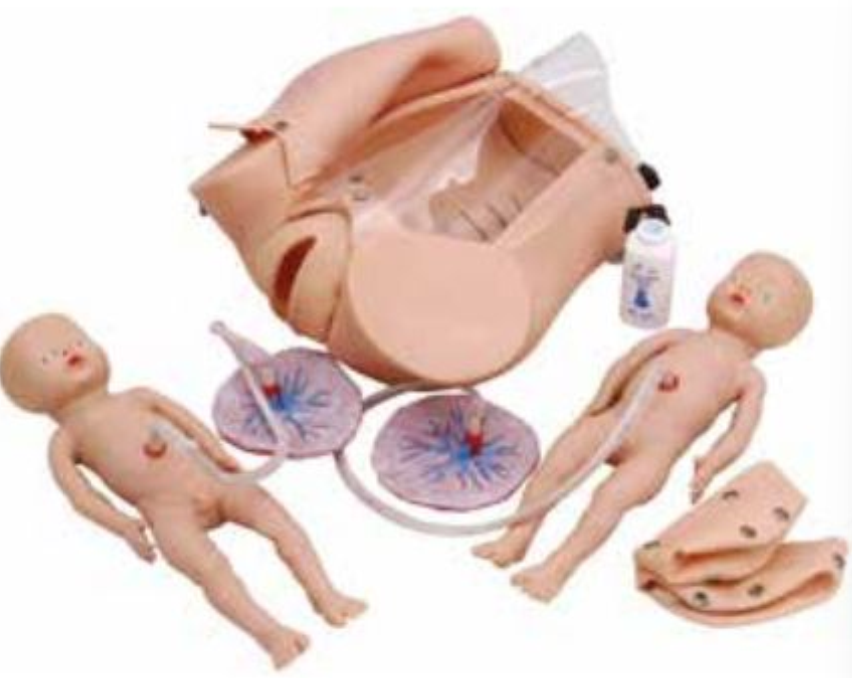 ADVANCED CHILDBIRTH SIMULATOR (SOFT)
