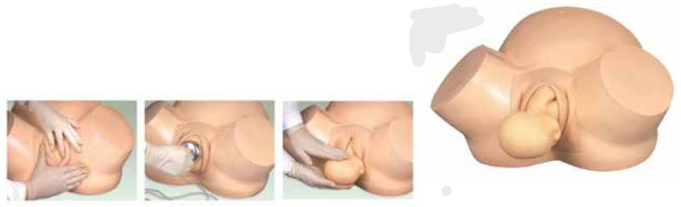 CHILD BIRTH TRAINING SIMULATOR (SOFT)