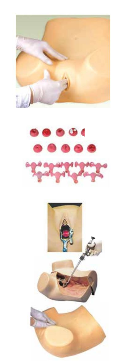 GYNECOLOGICAL TRAINING SIMULATOR (SOFT)