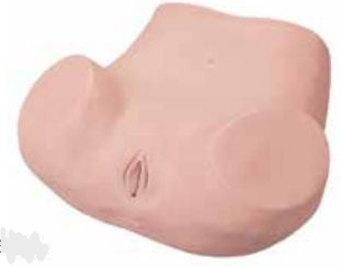 GYNECOLOGICAL TRAINING MODEL (SOFT)