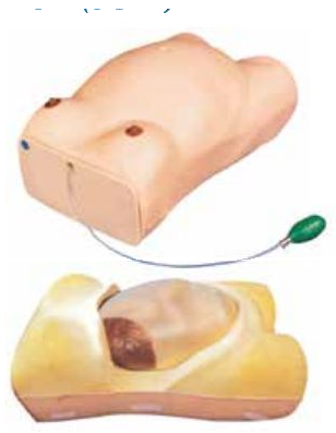 ADVANCED MATERNITY EXAMINATION SIMULATOR (SOFT)