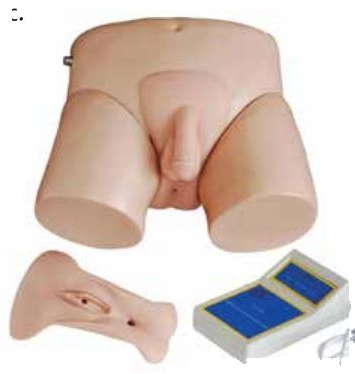 ELECTRONIC UNISEX URETHRAL CATHETERIZATION SIMULATOR (SOFT)