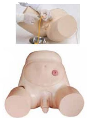 ADVANCED MALE URETHRAL CATHETERIZATION SIMULATOR