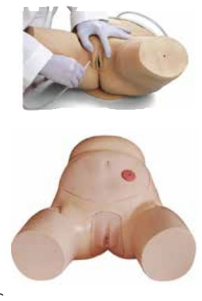ADVANCED FEMALE URETHRAL CATHETERIZATION SIMULATOR