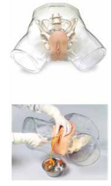 TRANSPARENT ADVANCED MALE URETHERAL CATHETERIZATION SIMULATOR