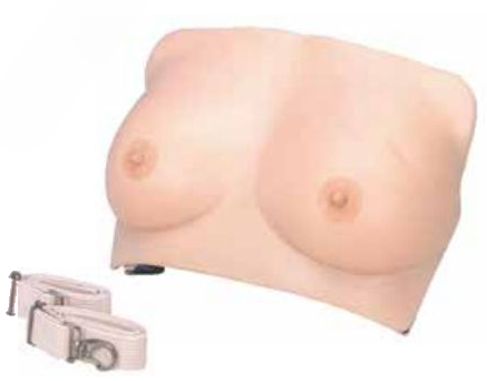 INSPECTION AND PALPATION OF BREAST CANCER TRAINING (SOFT)