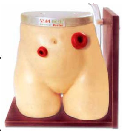 OSTOMY CARE SIMULATOR (SOFT)