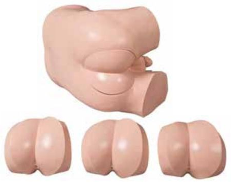 ADVANCED RECTAL TOUCH EXAMINATION SIMULATOR (SOFT)