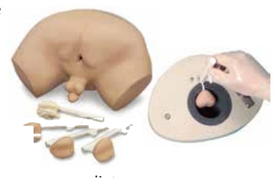 PROSTATE EXAMINATION SIMULATOR (SOFT)