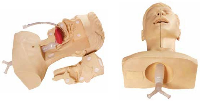 ADVANCED SUCTION TRAINING MODEL (SOFT)