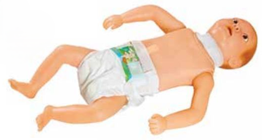 INFANT TRACHEOTOMY CARE SIMULATOR (SOFT)