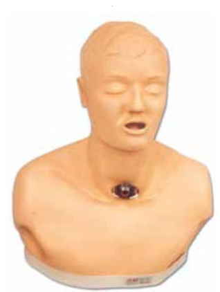 ADULT TRACHEOTOMY CARE SIMULATOR (SOFT)