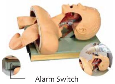 ADVANCED AIRWAY INTUBATION TRAINING SIMULATOR (SOFT)