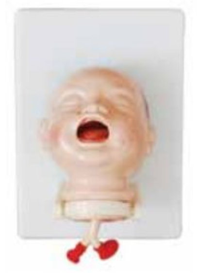 NEWBORN INTUBATION SIMULATOR (SOFT)