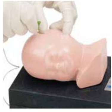 ADVANCED PEDIATRIC HEAD SIMULATOR (SOFT)