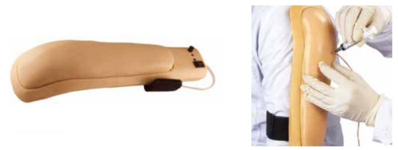 ADVANCE INTRAMUSCULAR INJECTION TRAINING ARM (SOFT)