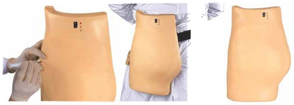 ADVANCED BUTTOCKS INTRA-MUSCULAR INJECTION SIMULATOR (SOFT)