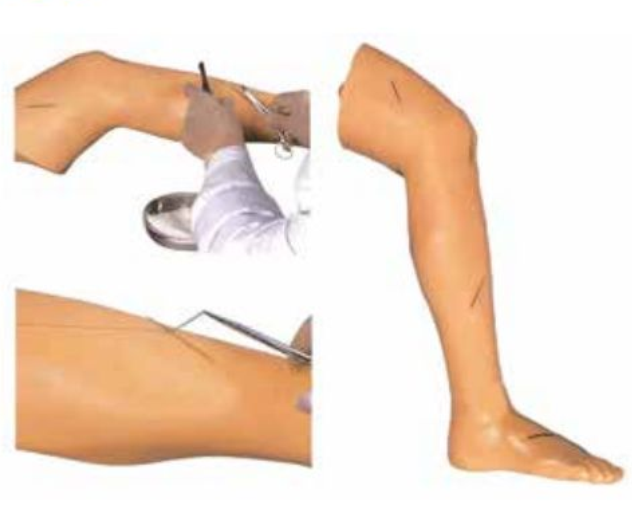 ADVANCED SUTURE PRACTICE LEG (SOFT)