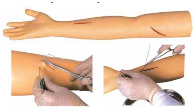 ADVANCED SUTURE PRACTICE ARM (SOFT)