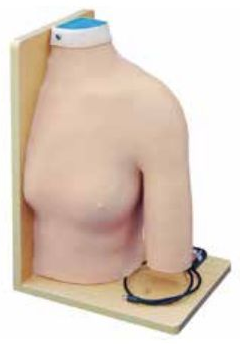 SHOULDER JOINT INTRACAVITARY INJECTION SIMULATOR (SOFT) SHOULDER JOINT INTRACAVITARY INJECTION MODEL