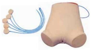 ABDOMINAL PUNCTURE SIMULATOR (SOFT)