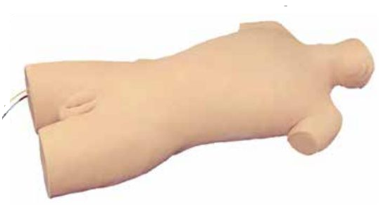 CENTRAL VENOUS PUNCTURE SIMULATOR (SOFT)