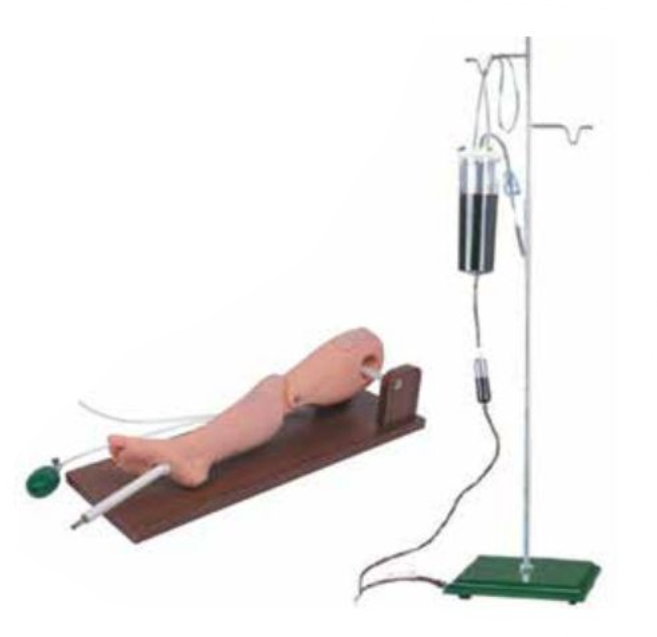 BONE MARROW PUNCTURE AND FEMORAL VENIPUNCTURE SIMULATOR (SOFT)