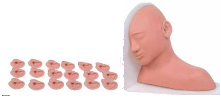 ADVANCED EAR INSPECTION SIMULATOR (SOFT)