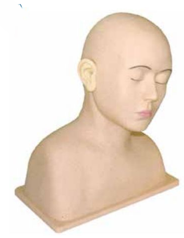 ADVANCED EAR IRRIGATION SIMULATOR (SOFT)
