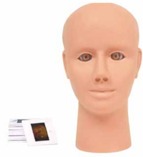 ADVANCED OCULAR INSPECTION SIMULATOR OF RETINOPATHYLOCAL ANESTHESIA TRAINING (SOFT)